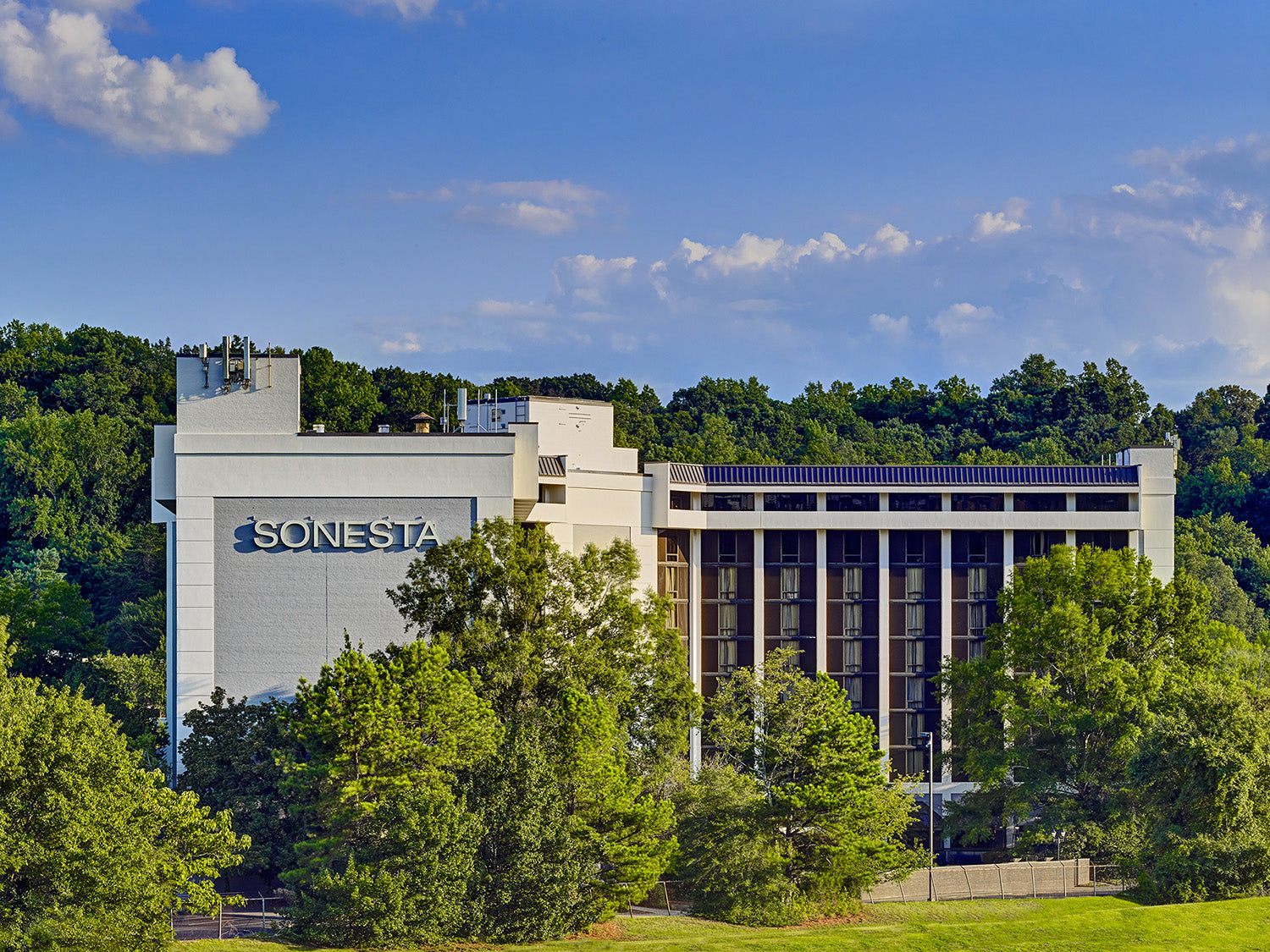 Sonesta hotel building surrounded by trees with a clear blue sky